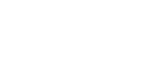 Elite Limousine logo