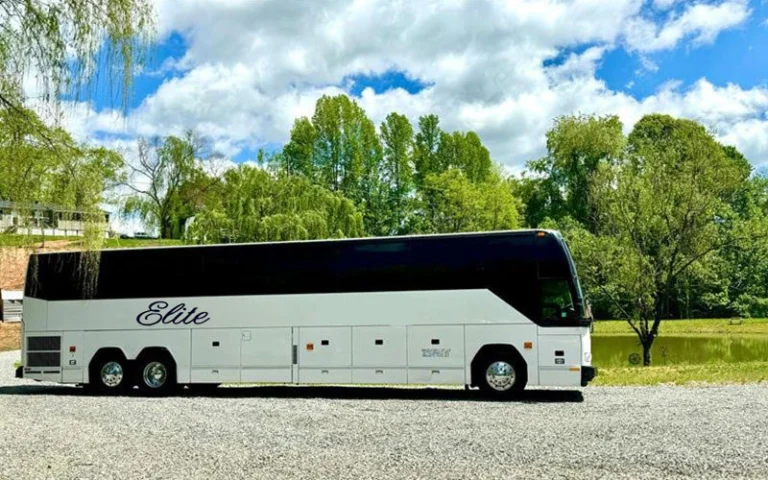 bigberta-coach2